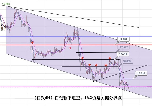 澳门与香港一码一肖一特一中详解/精选解释解析与落实展望