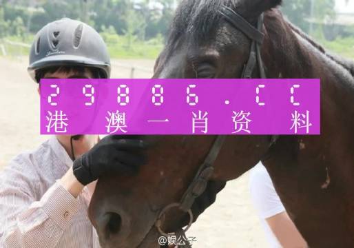 澳门跟香港一肖一码一必中一肖同舟前进|实证释义、解释与落实