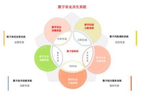 最新影片在线观看，探索数字时代的娱乐新纪元