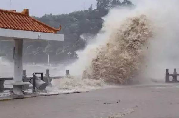 台风高速最新8号消息，风雨中的坚守与前行