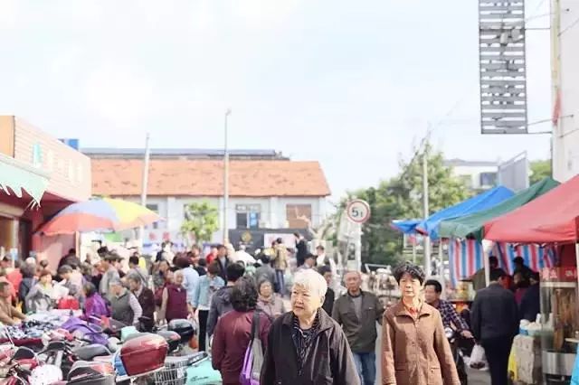 最新苏州菜市场市场，繁荣背后的故事与变迁