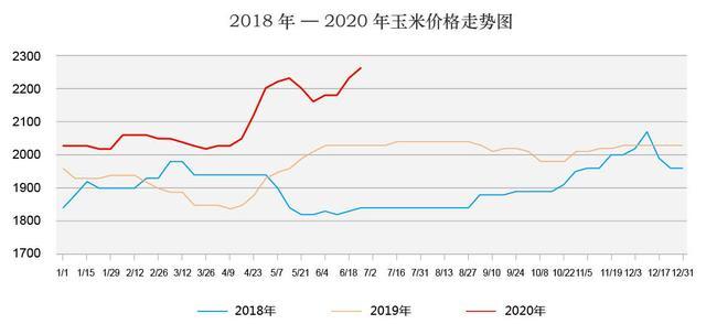 玉米价格最新预测，市场趋势、影响因素及未来展望