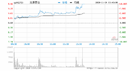 龙津药业股票最新价格，市场波动中的稳健前行