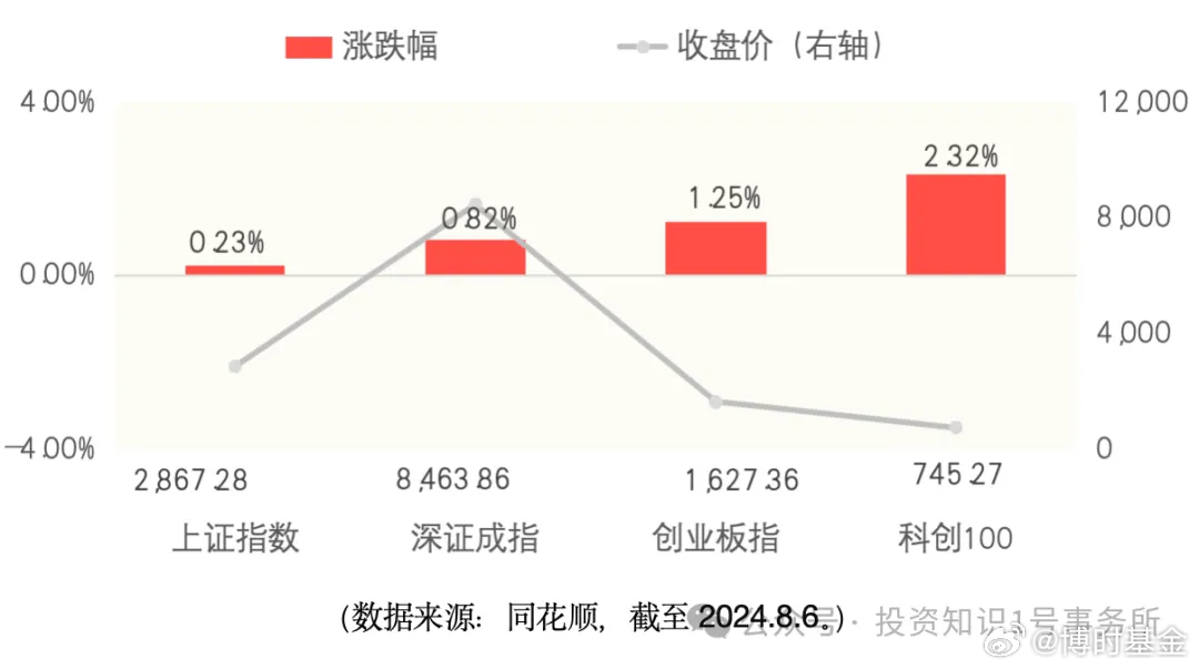 创业板最新上市信息，市场趋势与投资机会分析