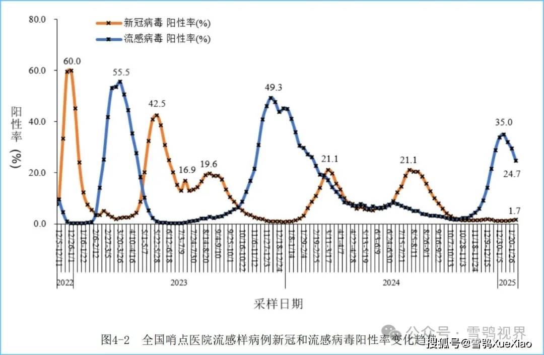 31个省最新疫情消息，全面追踪与深度分析