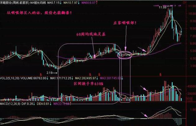 长春高新最新股价，市场波动下的机遇与挑战