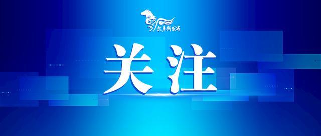 最新疫情报告3，全球抗疫进展与挑战