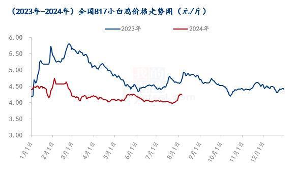 今日817毛鸡最新价格，市场波动与影响因素分析